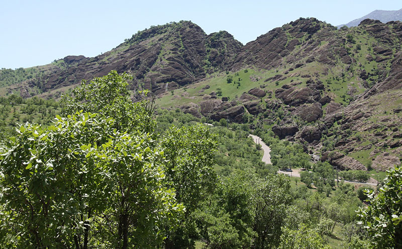 پارک جنگلی مخمل کوه